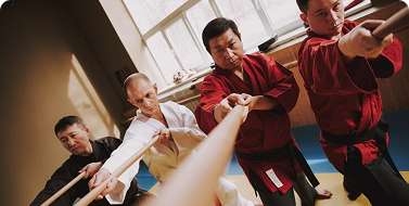 Bullies Quick-Spot Checklist